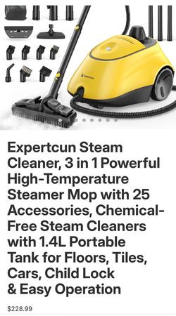 Steam Cleaner