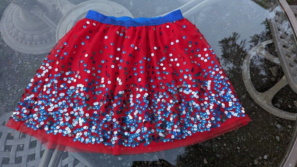 Large 10-12 Skirt