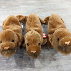 TY beanie babies - Paul the Walrus