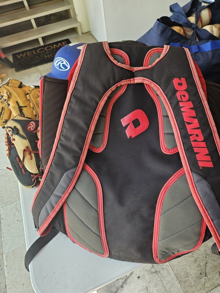 Little League Baseball Bag, Balls, Cleats, Helmet, Glove, Bats
