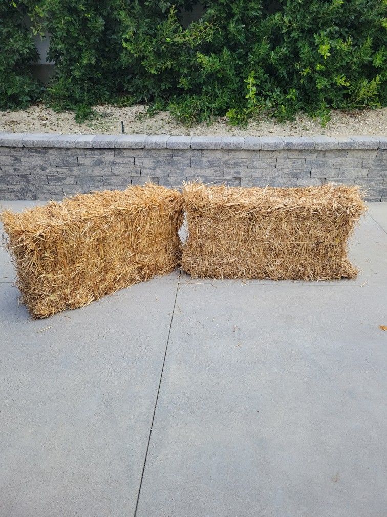 2 Decorative Straw Bails