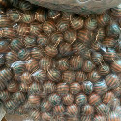 Paint for Paint Marker