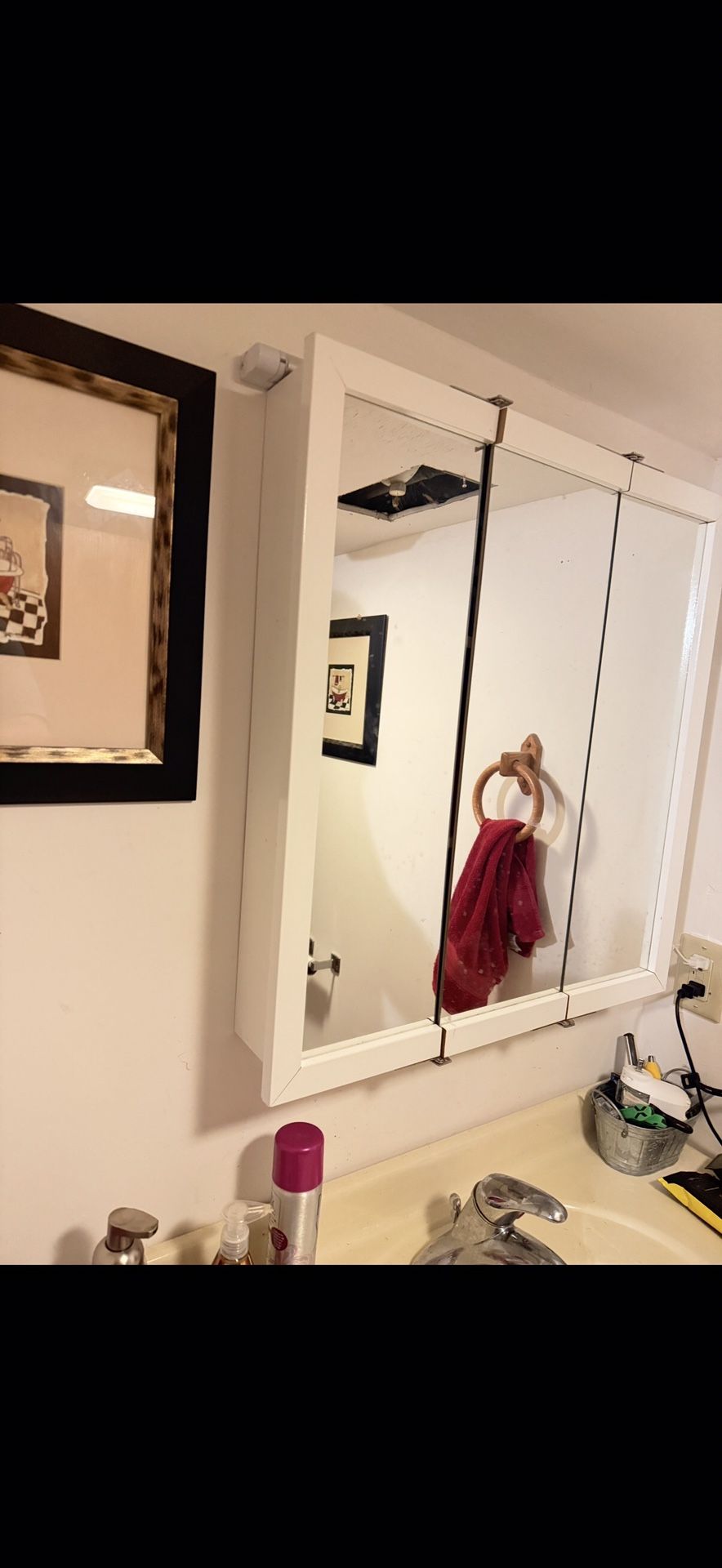 Bathroom Vanity Mirror/ Medicine Cabinet