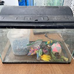 10 Gallons 