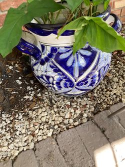 GORGEOUS. CERAMIC  PLANTER