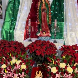 Special Flower Arrangement 💐 