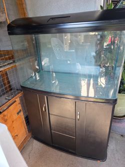Newport 60gallon tank
