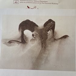 Big Horn Skull By Jim Bama, 1972