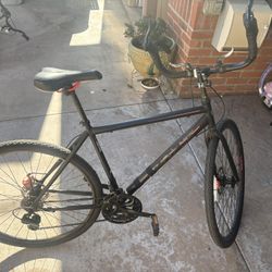 KENT 29.5 Bike