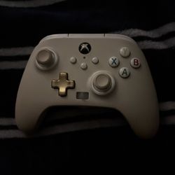 Custom Xbox Controller 