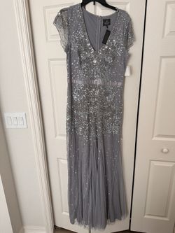 Beautiful Adrianna Papell Gown