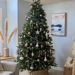 7.5 ft. Ellis Black Spruce LED Pre-Lit Christmas Tree with 500 Color Changing Lights