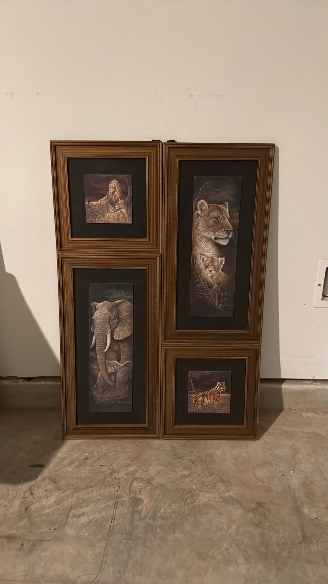 Wooden Framed Animal Picture