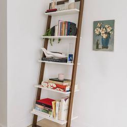 West Elm Ladder Shelf/Bookcase
