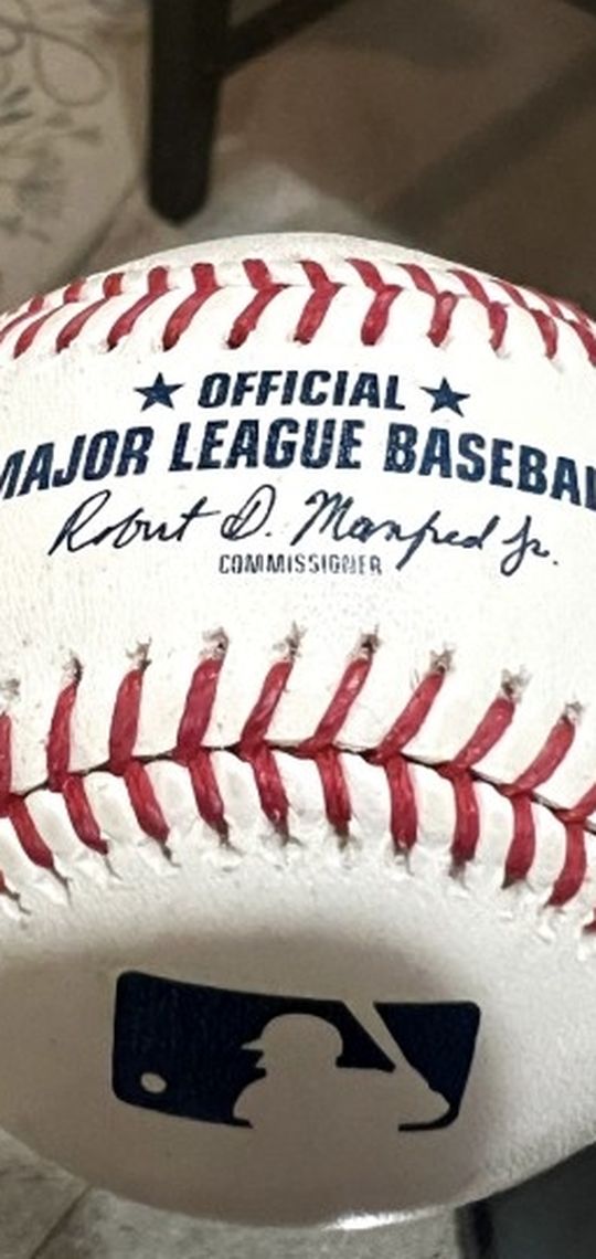 Dodger Fall Ball From 11-17-25 Game