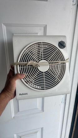 Fan