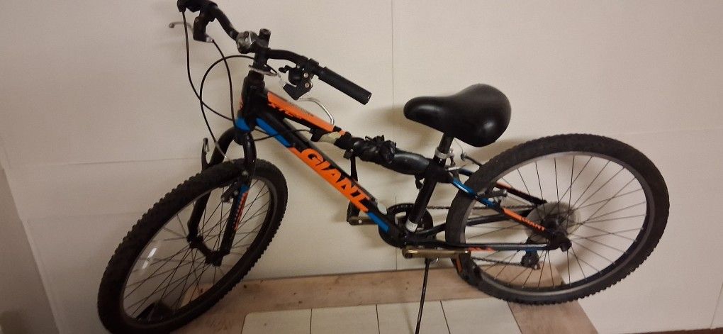 Gaint Youth Mountain Bike