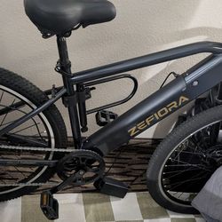 Electric bike