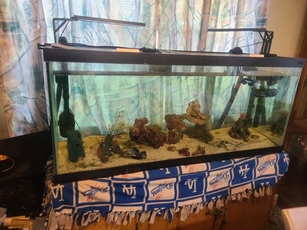 75 Gallon Fish Tank