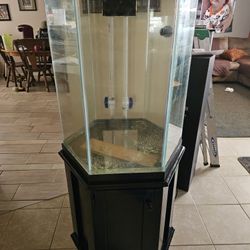 Fishtank 