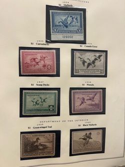 Federal duck stamps
