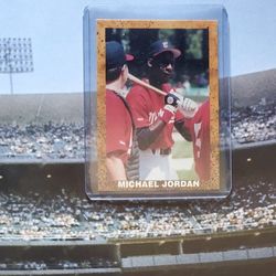 1989 Michael Jordan Promo Card