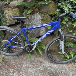 Specialized Rockhopper A1