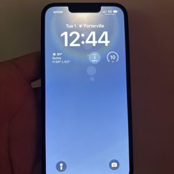 iPhone 13