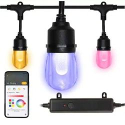 Hampton Bay Indoor/Outdoor 12-Light 24 ft. Smart Plug-in Edison Bulb RGBW Color Changing LED String Light Powered by Hubspace