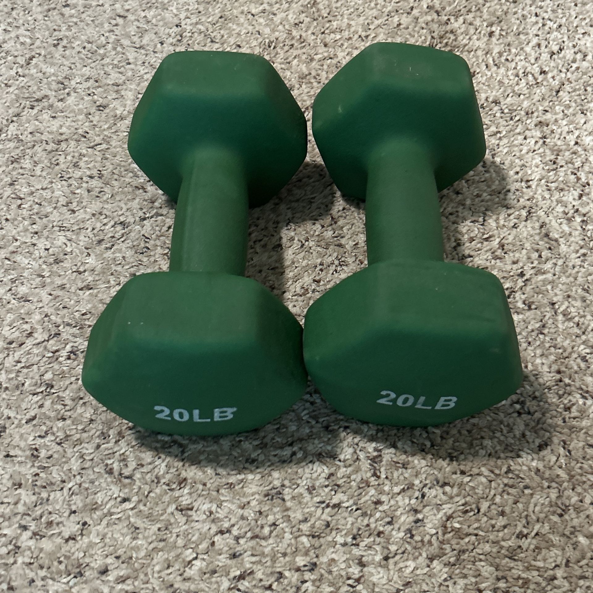 20# Dumbbell Weights Set Large Grip