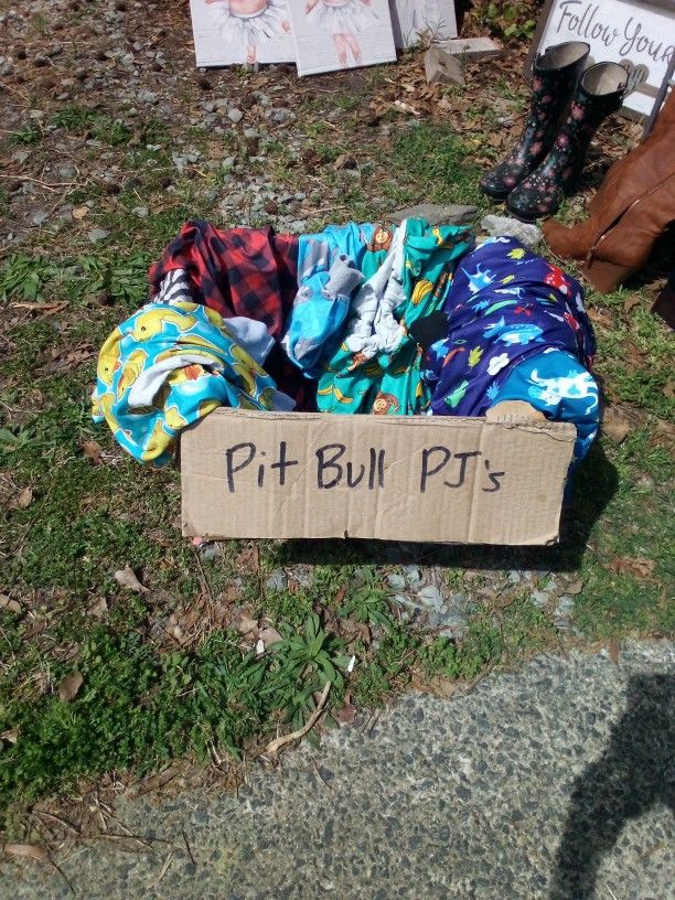 Pitbull Pjs