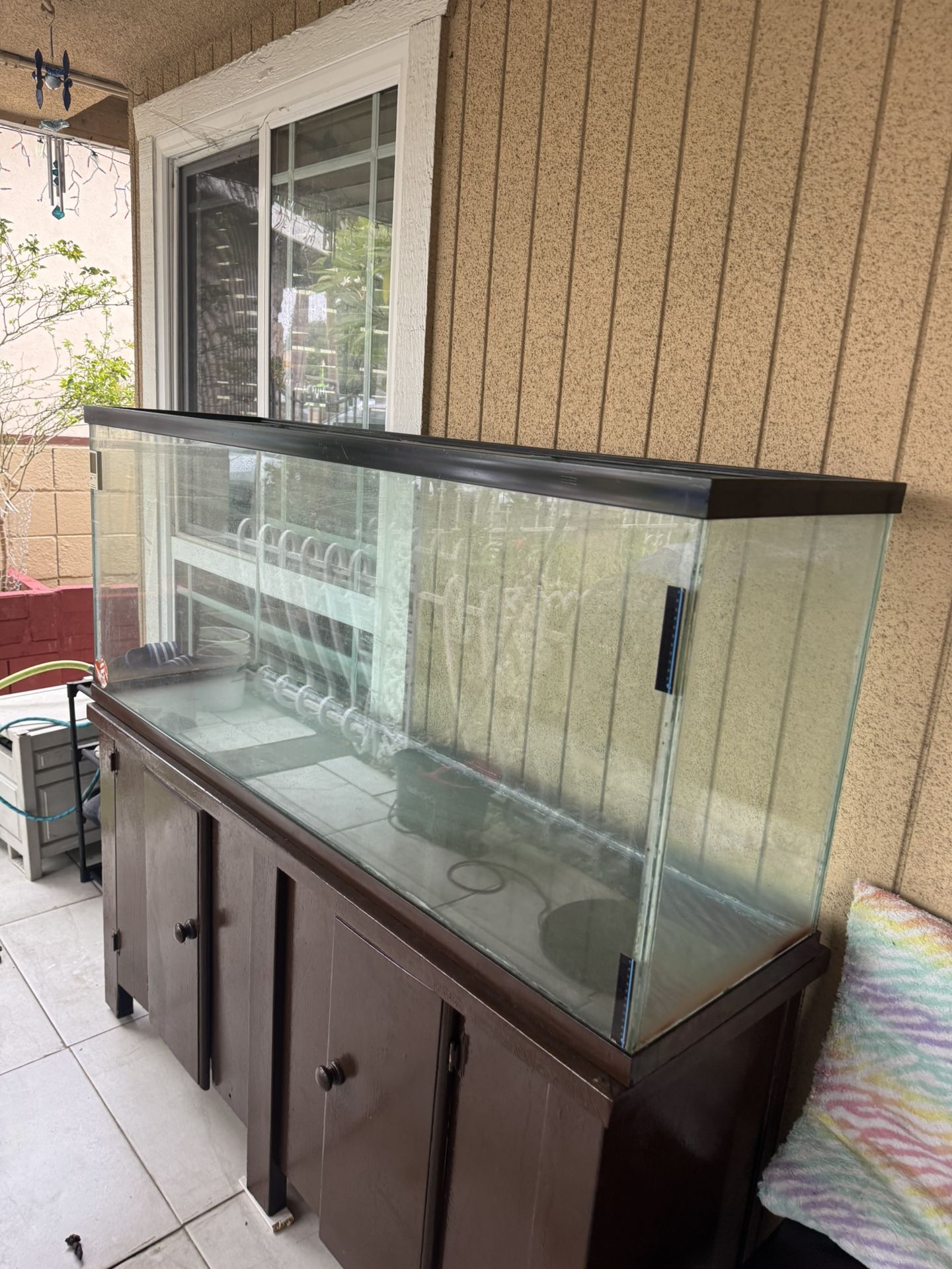 Fish Tank 