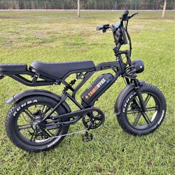 Tamo Electric Bike
