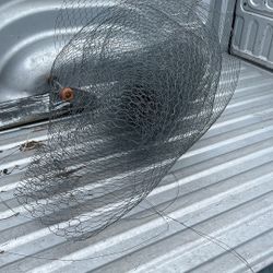 Chicken Wire 