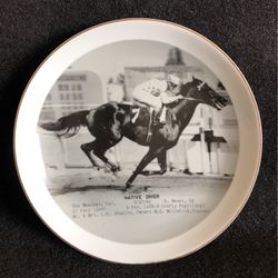 Rare Commerative 10” Native Diver Race Horse Plate