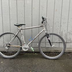 Custom Bike (make offers)