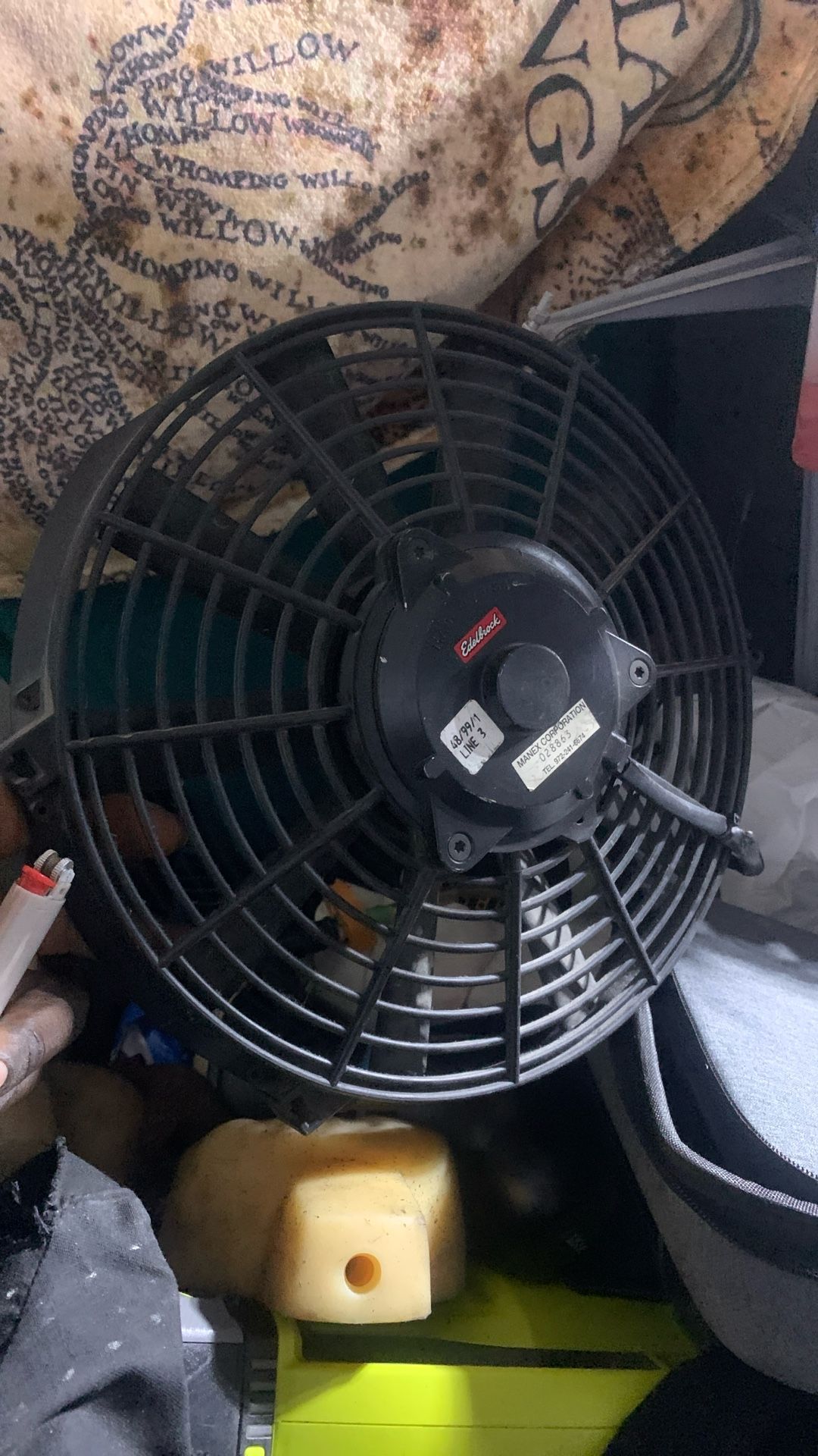 Fan