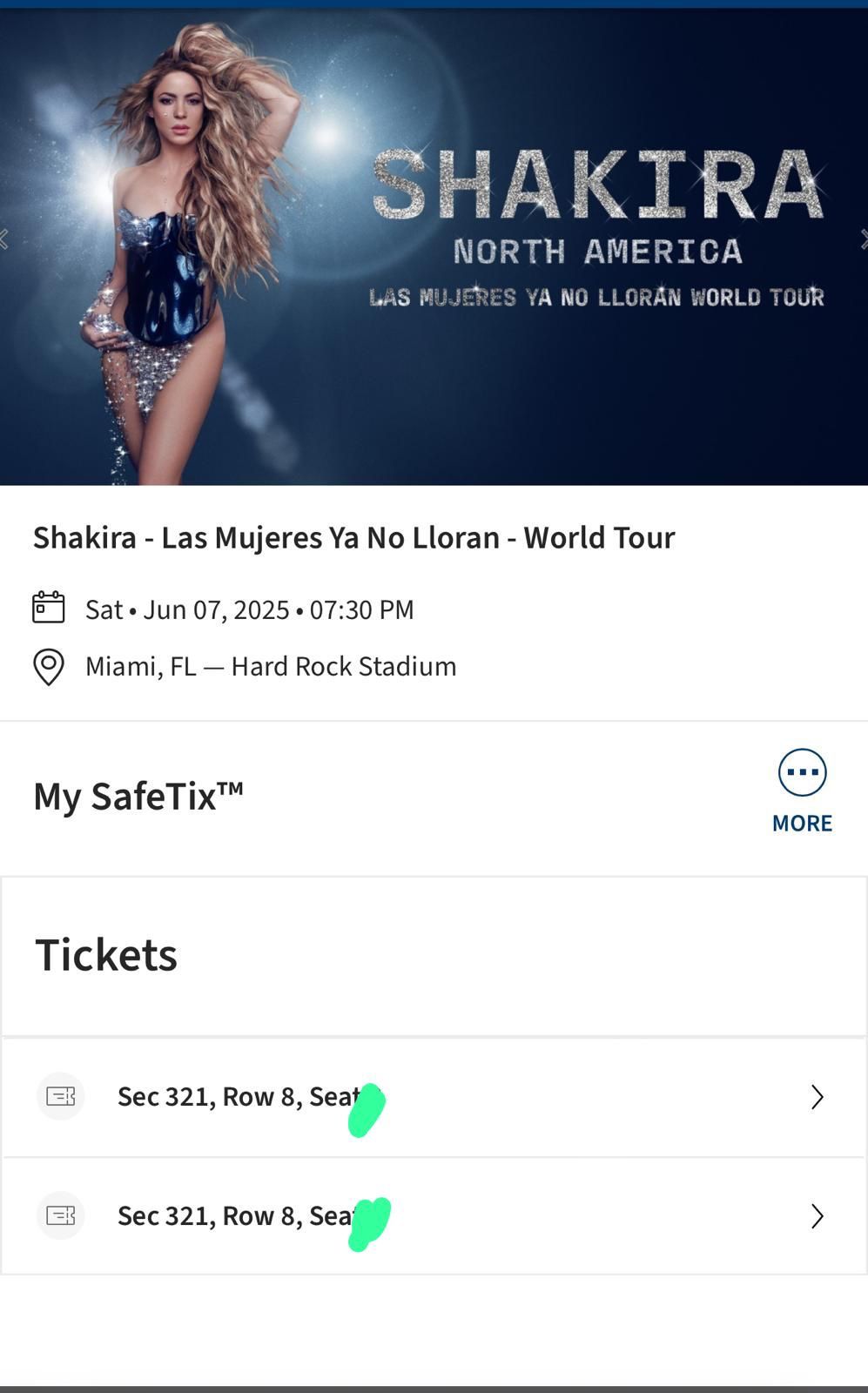 Shakira Concert