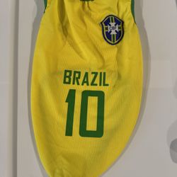 Small Brazil Dog Jersey