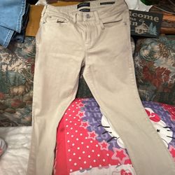Pacsun Light Brown Pants Nwt 30 X32 