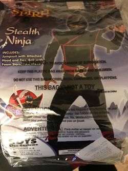 Ninja costume
