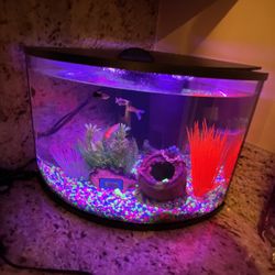 Corner Aquarium - Just Needs Fish!