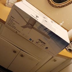 Brand New Ceiling Fan 