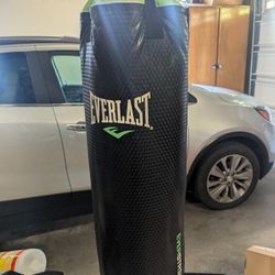 Everlast Punching Bag