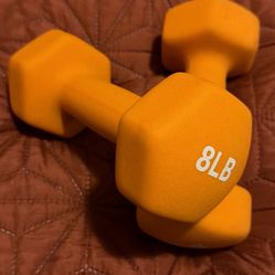 8lb Dumbbells 