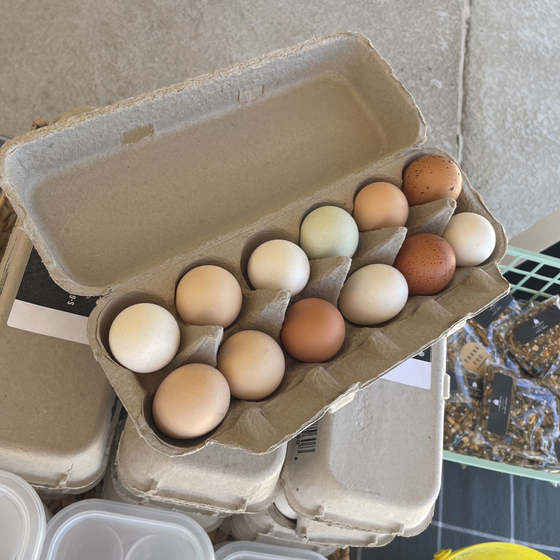 Dozen Eggs Farm Raised Happy Chickens
