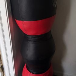 Freestanding Punching Bag 