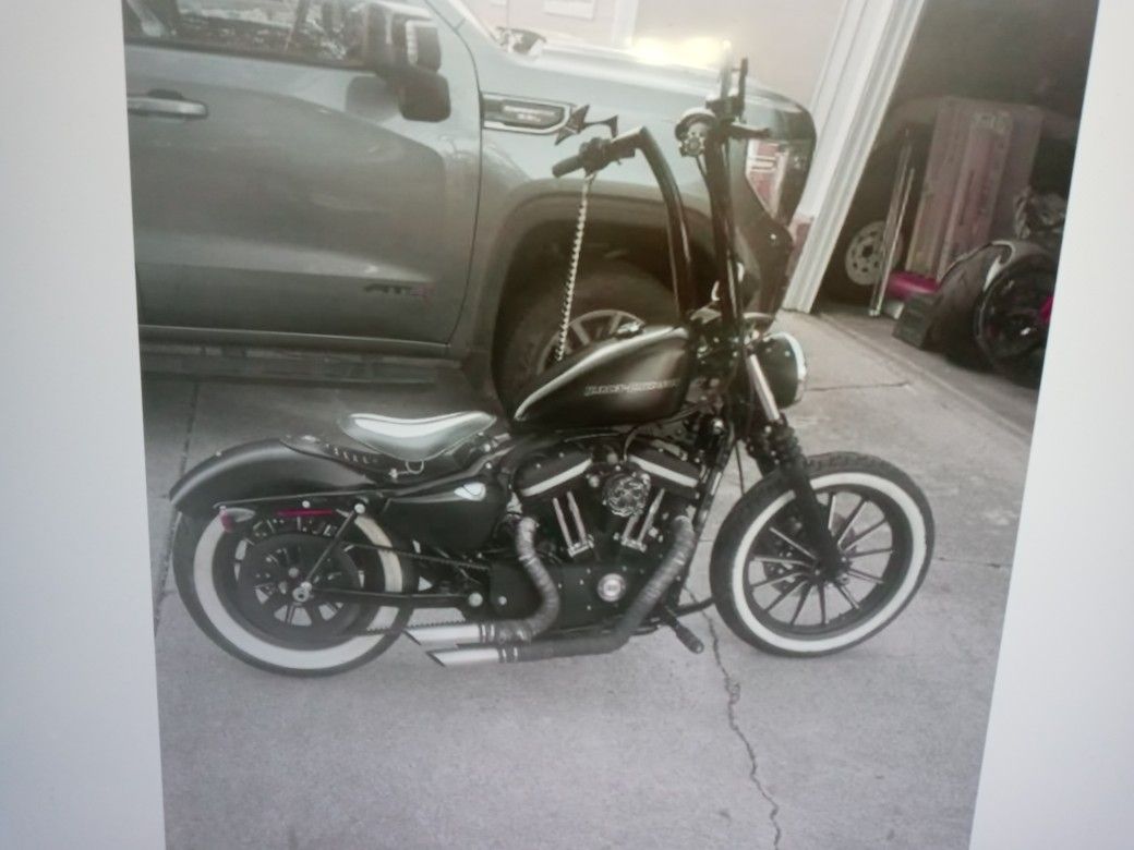 2009 Harley Davidson Iron 883