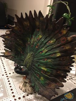 Peacock