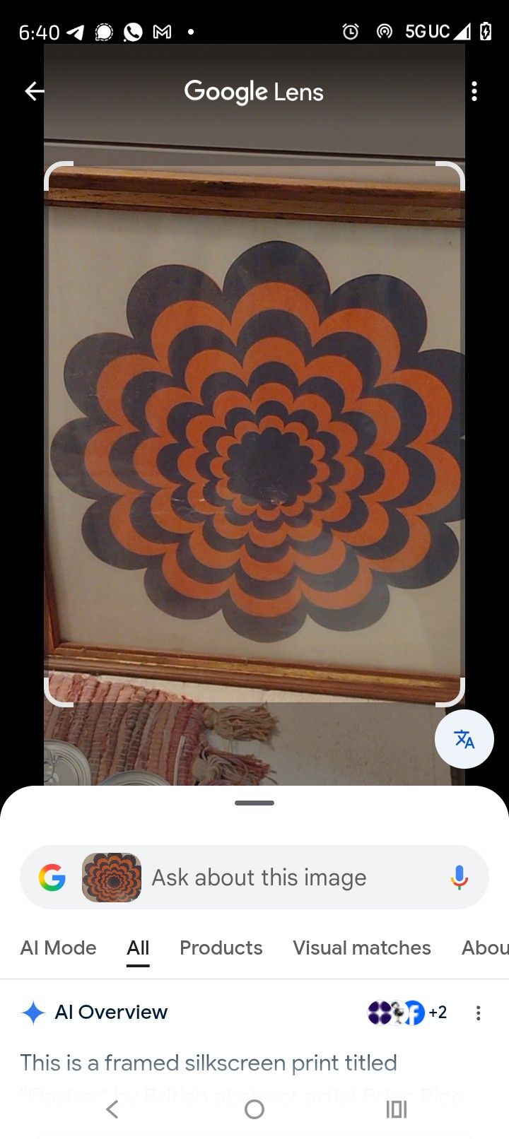Brian Rice Lithograph